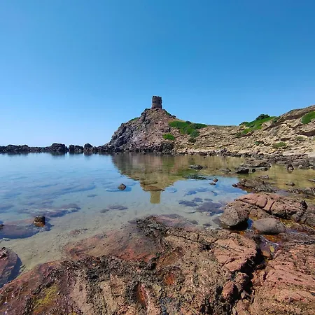 Stelle E Coralli Daire *