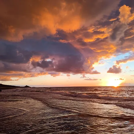 Daire Stelle E Coralli Tresnuraghes