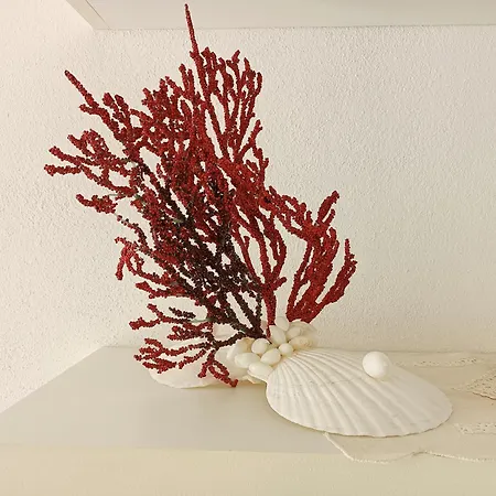 Stelle E Coralli Appartement